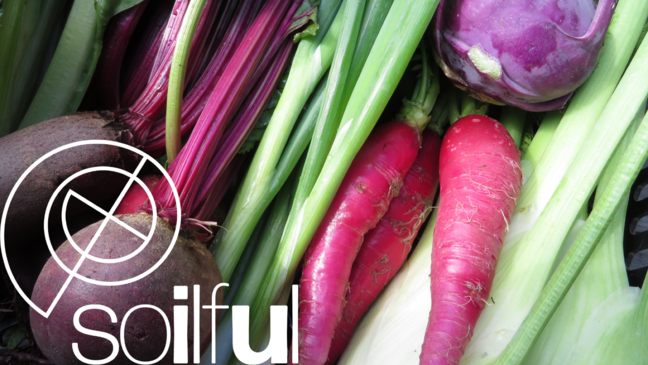 Soilful