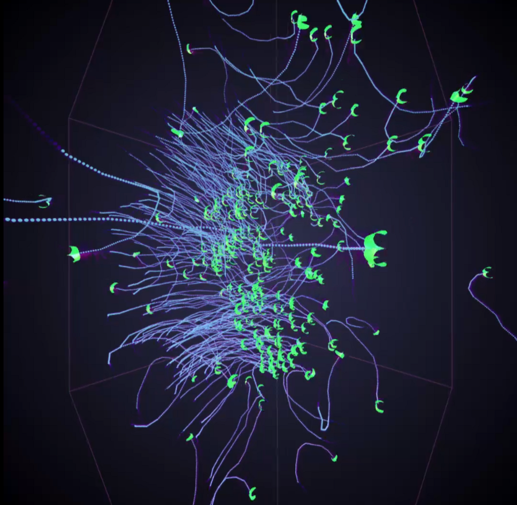 Crane Migration Flocking Visual