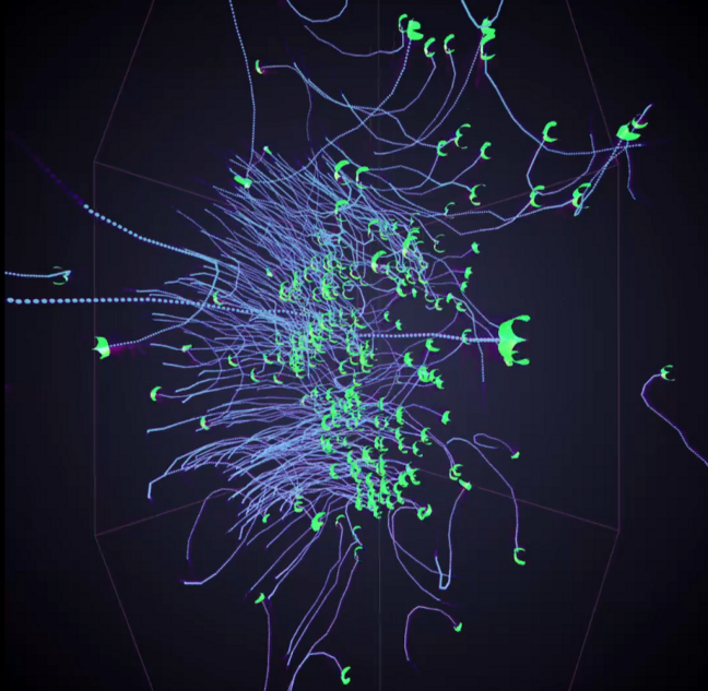 Crane Migration Flocking Visual