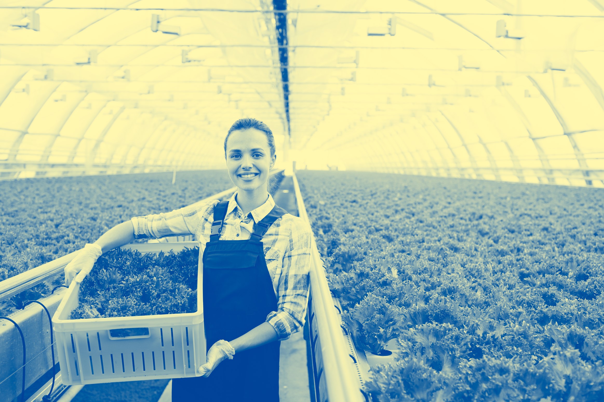 10 HUNGARIAN WOMEN STARTUPS IN THE EIT FOOD EWA 2022 EUROPEAN PROGRAM