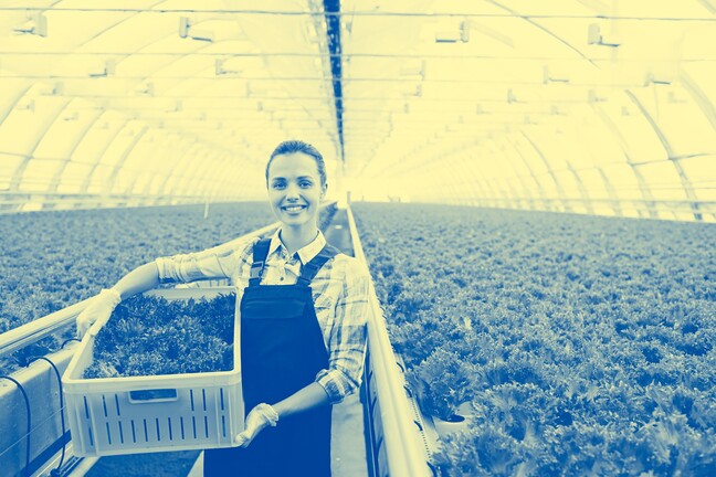 10 HUNGARIAN WOMEN STARTUPS IN THE EIT FOOD EWA 2022 EUROPEAN PROGRAM