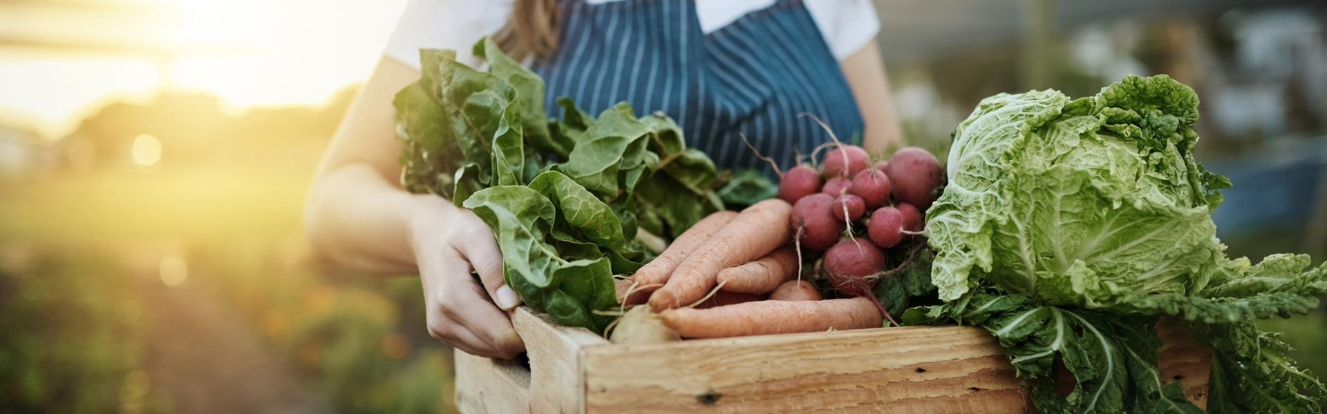 EatsyFarm Market Hub