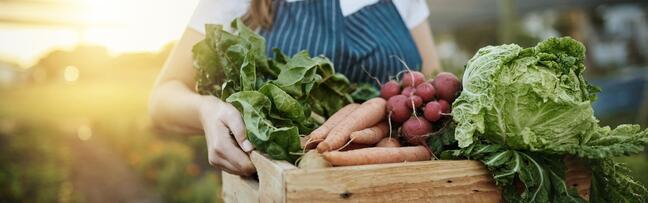 EatsyFarm Market Hub