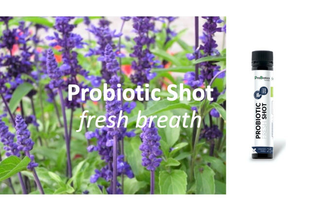 PROBIOTIC SHOT Fresh Breath
