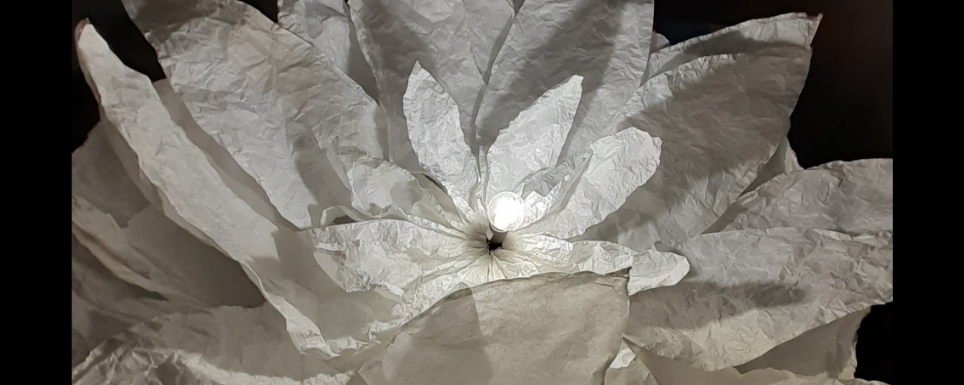 Dream flowers