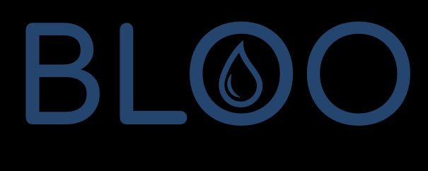 BLOO smart water meter