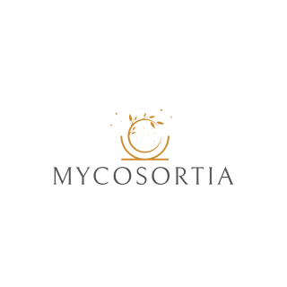 Startup logó