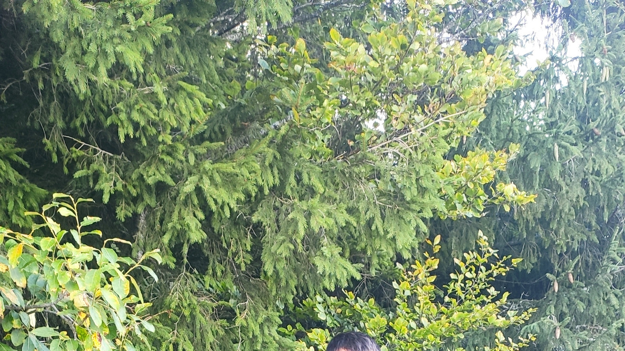 CIKK TÖRLÉSRE